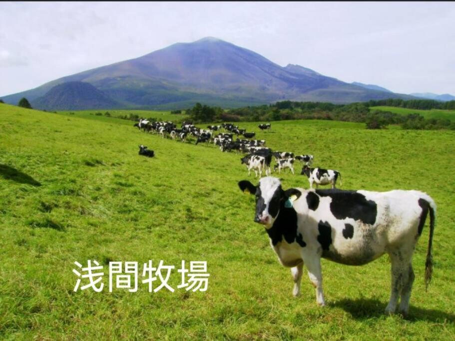おもちゃ王国と北軽井沢の大自然を満喫できる貸別荘 Karuizawa Exterior foto